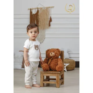 طرح تدی